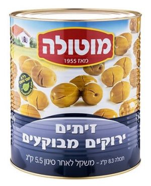 זית מבוקע ענק מוטולה 9 ל.לנדאו