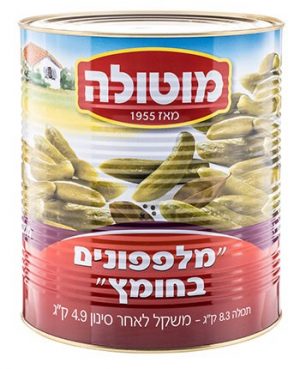 מלפפון 201/250 חומץ  מוטולה