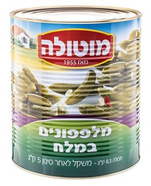 מלפפון 66/80 מלח  מוטולה